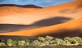 Red Sand Dunes