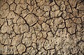 Dry Ground in Summer Time. August 2006.