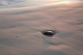 Dtail de plage en Baie d'Audierne au coucher du soleil