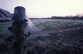 Spider Net covering the countryside. France