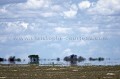 Mirage in the Kalahari Desert