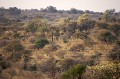 Kalahari Desert. Deception Valley.