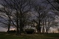 Gallery Grave  of La Roche aux Fes Dolmen at Night