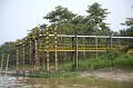 Palm Tree Oil Plantation, Close to the Kinabatangan River, Sabah State, Borneo, Malaysia.