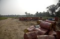 alm Tree Oil Plantation, Close to the Kinabatangan River, Sabah State, Borneo, Malaysia.