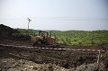 Palm Trees Oil Plantation in Borneo. Work in Progress.