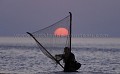 Catching Shrimps with traditionnal Net in the Mont Saint Michel's Bay