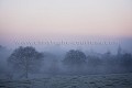 Brouillard matinal dans le bocage en Bretagne. Ille et Vilaine. France.