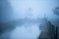 Paysage du Marais Poitevin