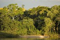 Paysage du Pantanal.