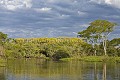 Paysage du Pantanal. Rio Cuiaba.