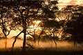 Lever de soleil dans le Pantanal