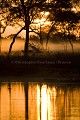 Lever de soleil dans le Pantanal
