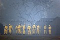 Pompiers dans le Pantanal / Firemen in Pantanal