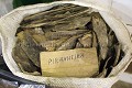Pharmacopée traditionnelle (Piranhea trifoliata )