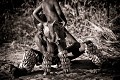 Bushmen, preparing traditionnal dance