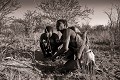 Chasseurs Bushmen au Botswana