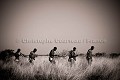 Bushmen Hunters