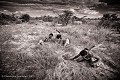 Bushmen, Botswana