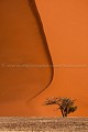 Dune de sable rouge de Sossusvlei. Namibie.