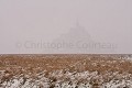 Bay of the Mont Saint Michel under snow