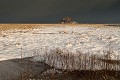 Mont Saint Michel Bay under Snow.