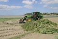 Algues vertes sur une plage de Bretagne.