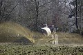 Manure Spreading in Brittany