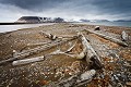 Wood on shore