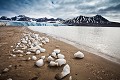 Glacier du 14 juillet