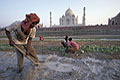 Culture vivrire sur les berges de la rivire bordant le Taj Mahal