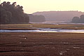 Mare basse sur les vasires du Blon