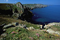 Les falaises sauvages du Cap Sizun