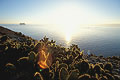 Lever de soleil sur l'île Daphné Major. Au fond, Daphné Minor