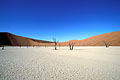 Dead Vlei - Namib National Park