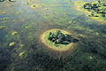 Islet of vegetation in the Okavango Delta / Botswana