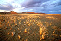 Namib-Naukluft National Park.