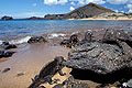 Marine Iguanas / Bartolom Island