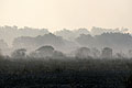 Smoke on an Okavango Delta Channel after Bush Fire