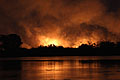 Feu de brousse la nuit. Delta de l'Okavango.