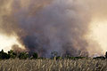 Feu de brousse naturel dans le Delta de l'Okavango