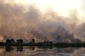 Natural Bush Fire in the Okavango Delta