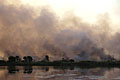 Feu de brousse naturel dans le Delta de l'Okavango