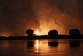 Feu de brousse la nuit. Delta de l'Okavango