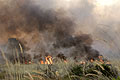Natural Bush Fire in Okavango Delta