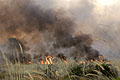 Feu de brousse naturel dans le Delta de l'Okavango