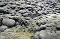 Old Lava Flow, covered by mosses & Lichens