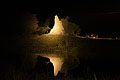 Lioness Hunting at night in the Okavango Delta.