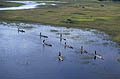 Local People on the move on board of traditionnal Mokoros.