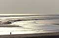 Walk in the magnificent light of the Bay of the Mont-Saint-Michel